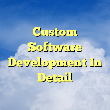 Custom Software Development In Detail